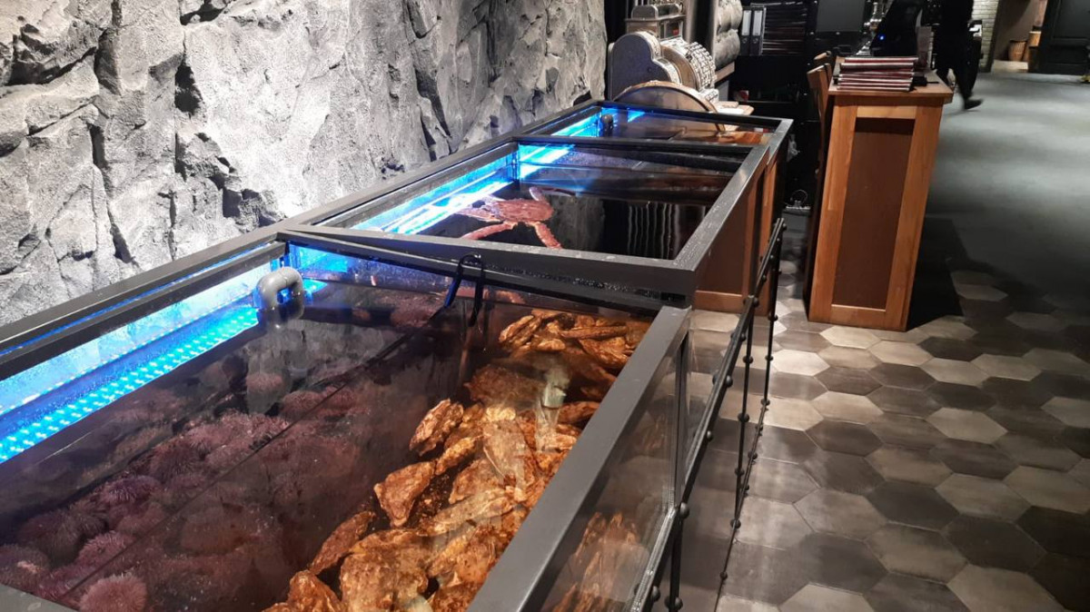 akvarium-dlya-moreproduktov-v-restoran